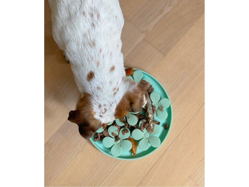 Confetti dogs - Flower Lick Mat 20 x 20 x 2 cm - (PBL6898S)