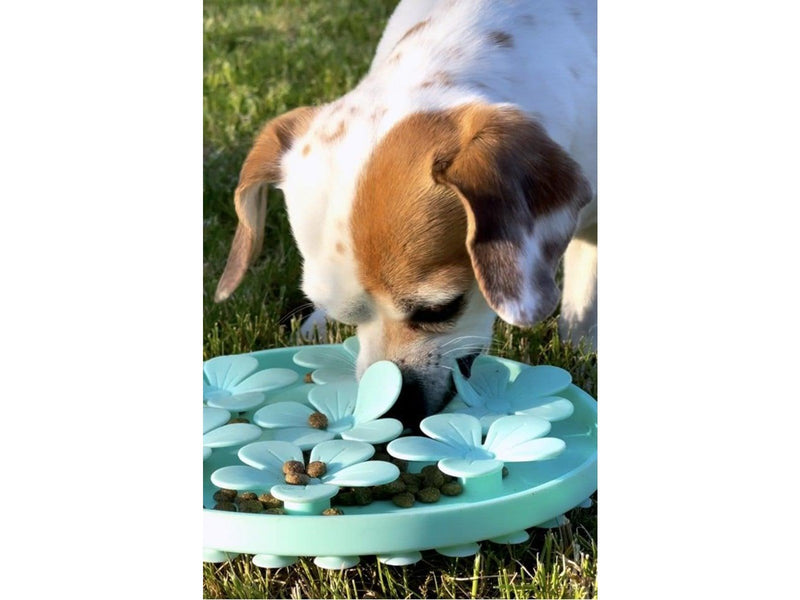 Confetti dogs - Flower Lick Mat 20 x 20 x 2 cm - (PBL6898S)