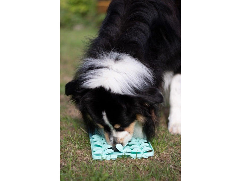Confetti dogs - Leaf Pattern Lick Mat 38 x 20 x 2 cm - (PBL6638S)