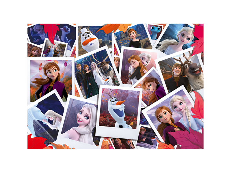 Disney Frozen 2(1000)