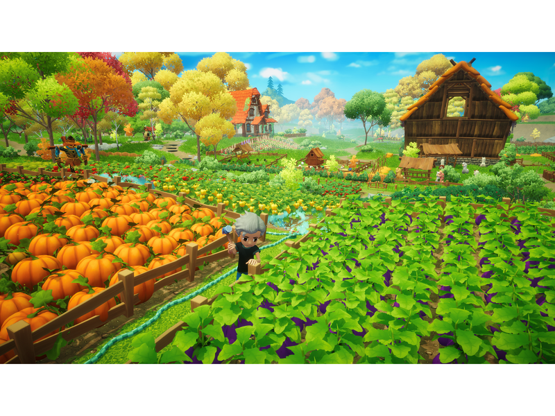 Everdream Valley - Nintendo Switch - Abenteuer - PEGI 3