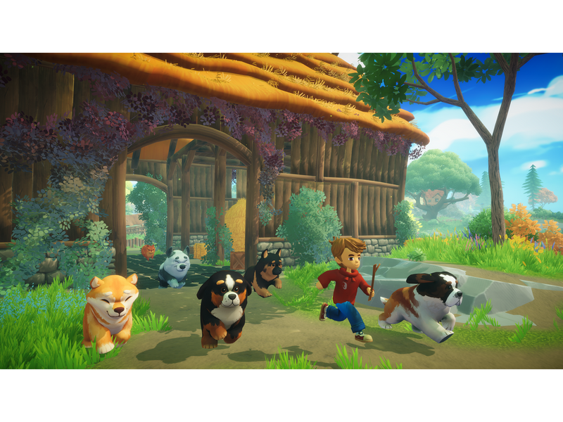 Everdream Valley - Nintendo Switch - Abenteuer - PEGI 3