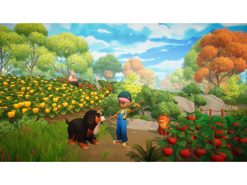 Everdream Valley - Nintendo Switch - Abenteuer - PEGI 3