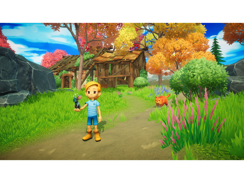 Everdream Valley - Nintendo Switch - Abenteuer - PEGI 3