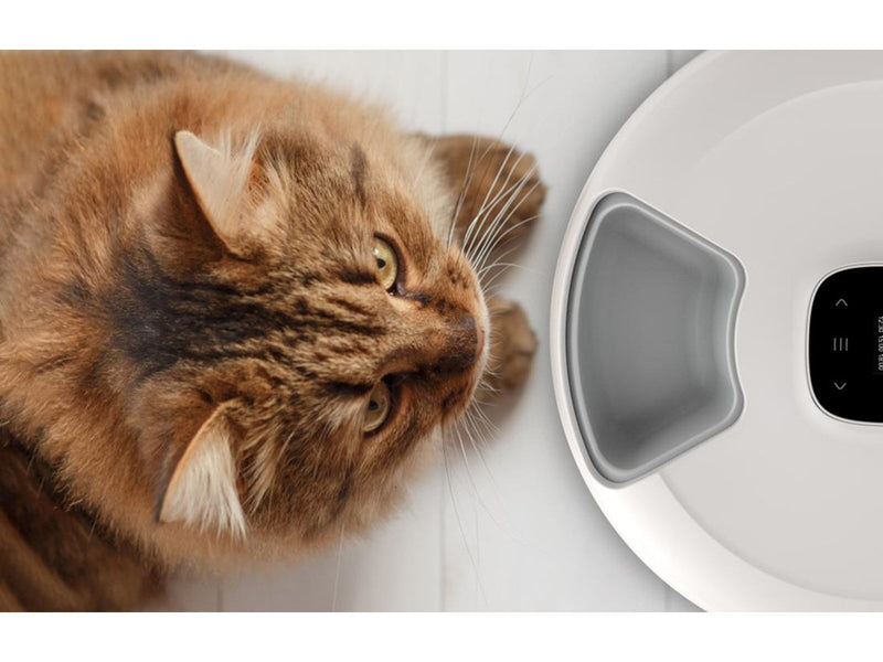 Petoneer Intelligent Food Dispenser  NutriSpin