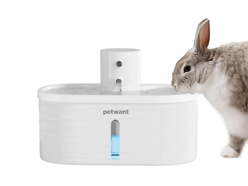 PetWant W4-L Water Fountain for pets