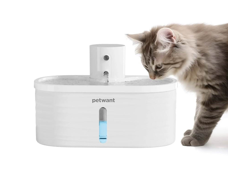 PetWant W4-L Water Fountain for pets