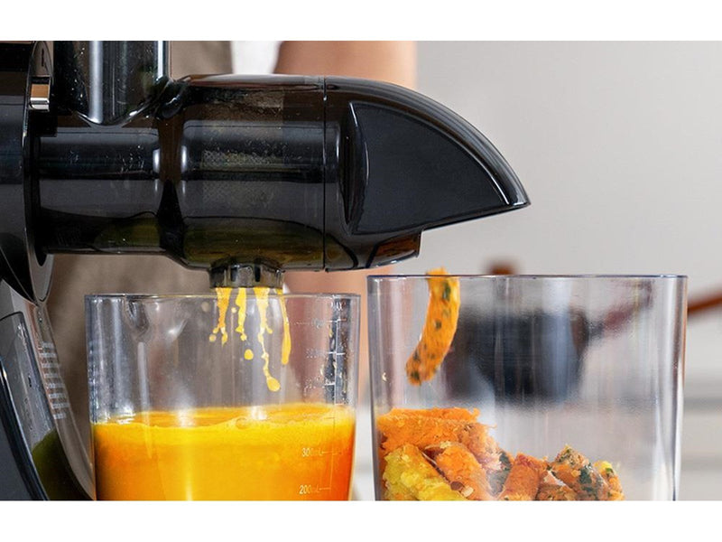 AMZCHEF Slow Juicer  1501-GA (Grey)
