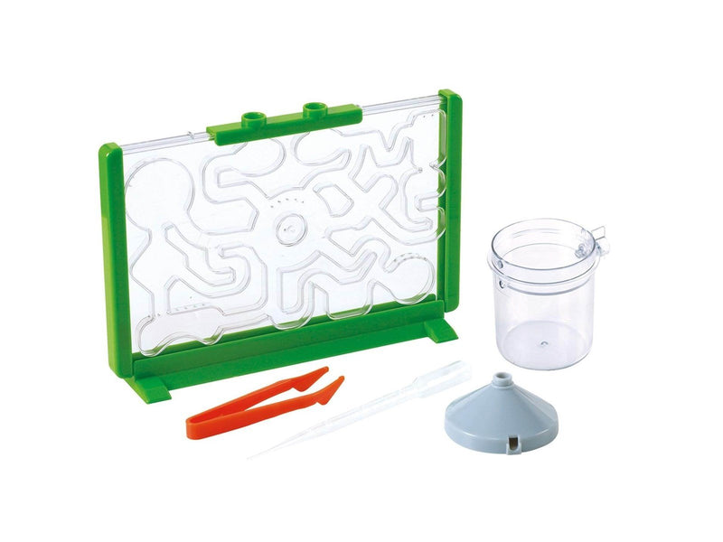 Happy Summer Ant Farm Discovery