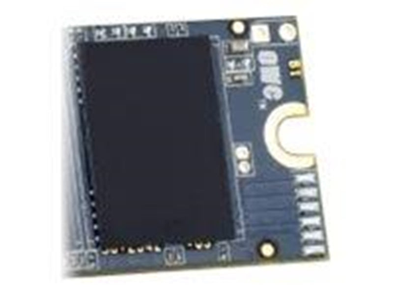 OWC Aura Pro X2