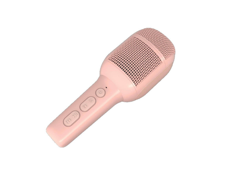 CELLY KIDSFESTIVAL2PK microphone