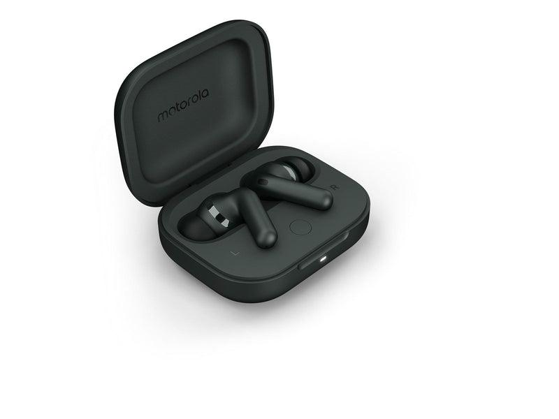 Motorola Moto Buds+ - Forest Grey