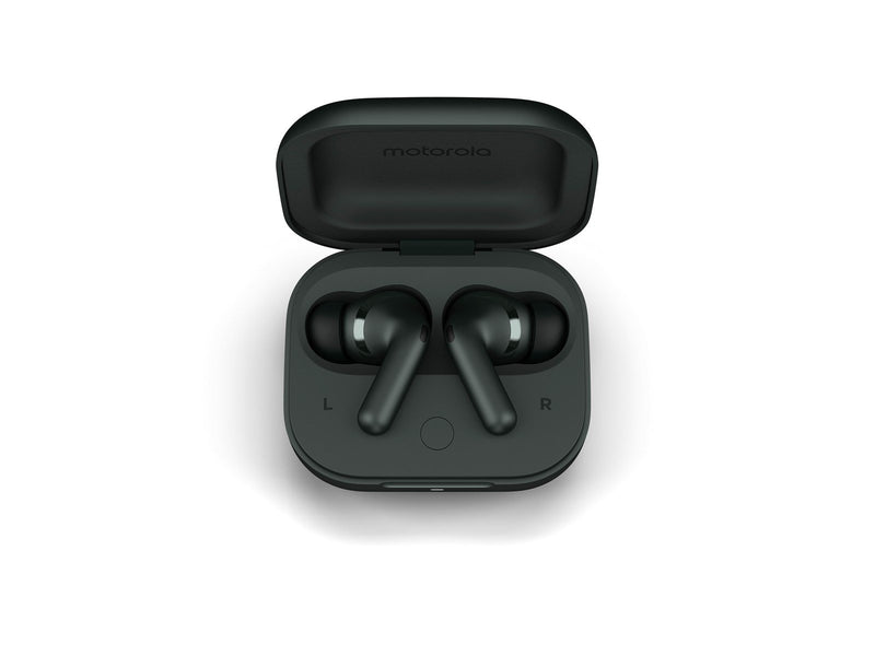 Motorola Moto Buds+ - Forest Grey