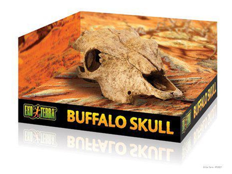 EXO TERRA - Cave Buffalo Skull  - (222.2057)