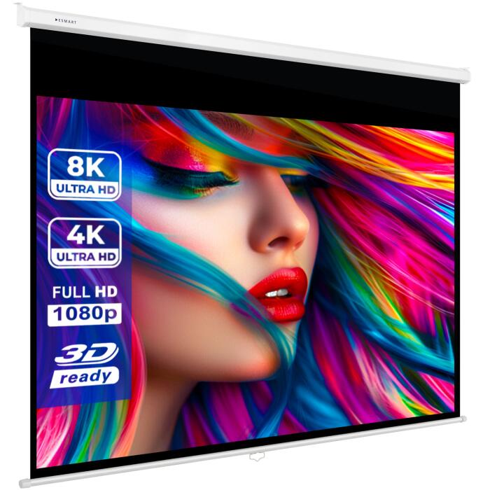 eSmart Germany Rollo Leinwand MIROLO 305 x 229 cm (150') 4:3
