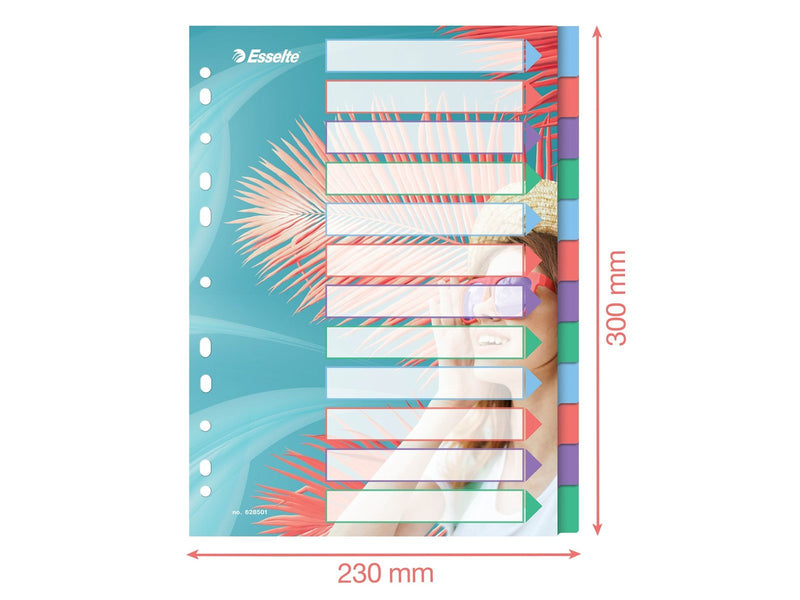 Esselte  Colour'Breeze A4 Register 12 Taben, PP