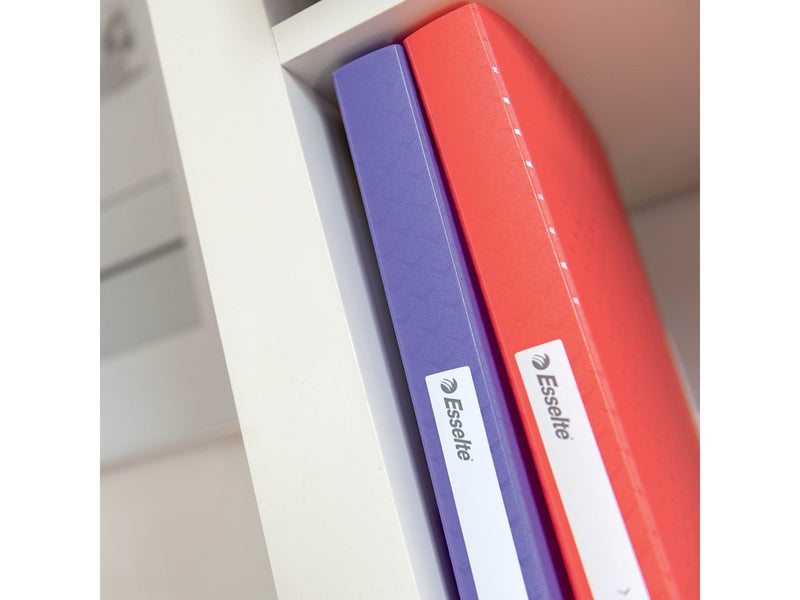 Esselte  Colour'Breeze Sichtbuch mit 60 Hüllen Koralle