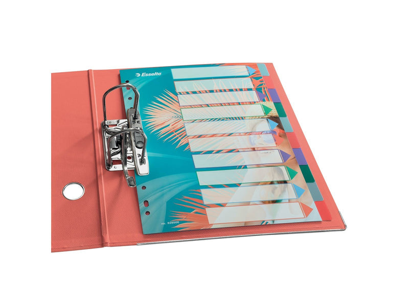 Esselte  Colour'Breeze A4 Register 10 Taben, PP