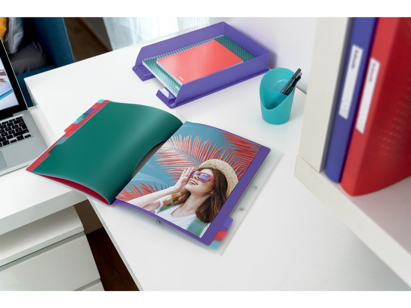 Esselte  Colour'Breeze Ordnungsmappe mit 12 Taben