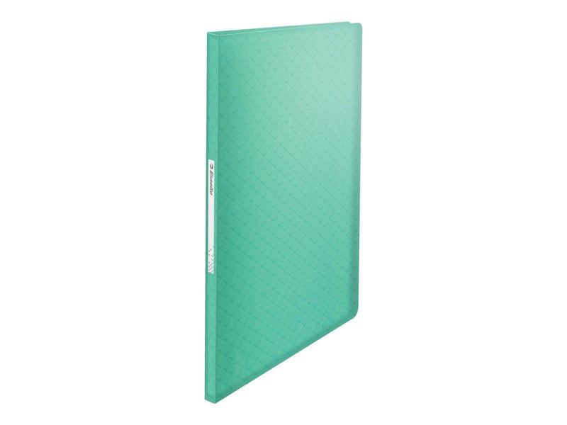 Esselte  Colour'Breeze Sichtbuch mit 40 Hüllen Grün