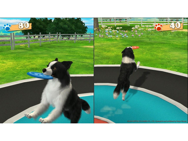 FUN! FUN! Animal Park (Code in a Box) - Nintendo Switch - Party - PEGI 3