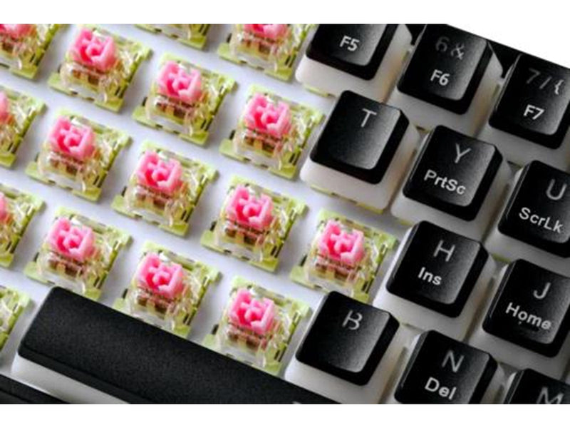 Deltaco DK475 Mechanical 60% Keyboard Pudding Keycaps Ho - Gaming Tastaturen - Schwarz