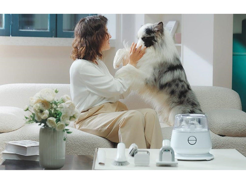 INSE Pet grooming Vacuum  P20