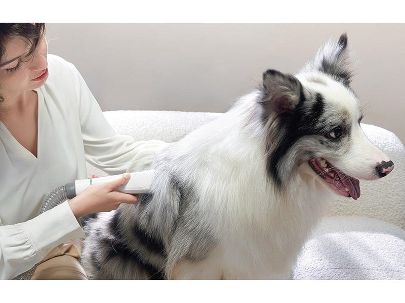 INSE Pet grooming Vacuum  P20
