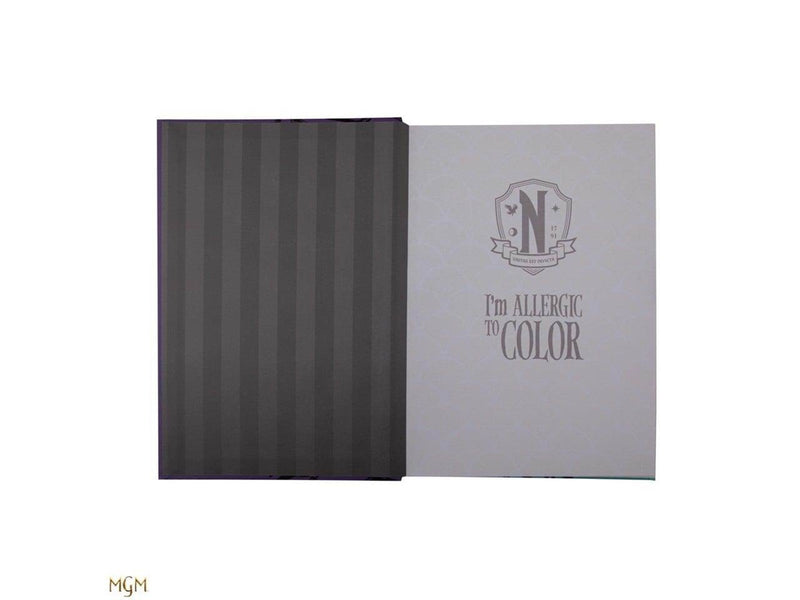 Cinereplicas Wednesday - Hard Cover Notebook - Wednesday and Enid
