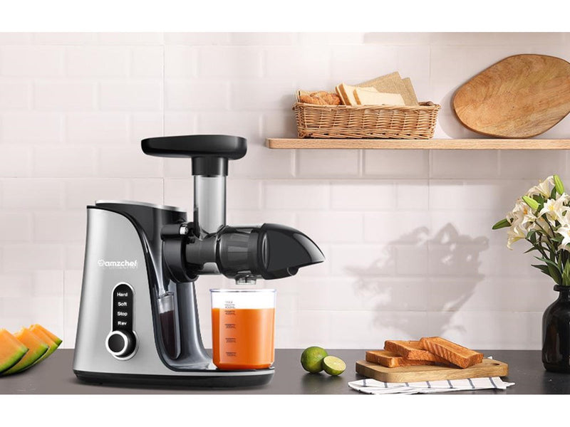 AMZCHEF Slow Juicer  3001-GA (Grey)