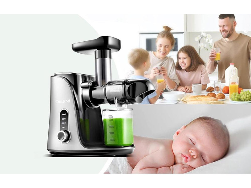 AMZCHEF Slow Juicer  3001-GA (Grey)