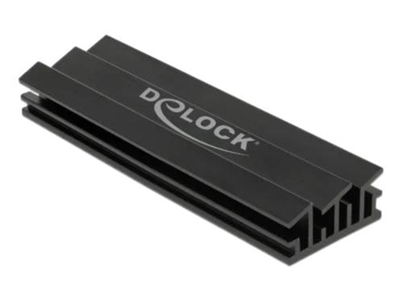 DeLOCK solid state drive heatsink