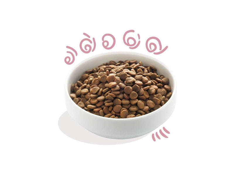 Edgar Cooper Edgard Cooper - Fresh Free-run And og Kylling Hvalp 12kg 5425039485232