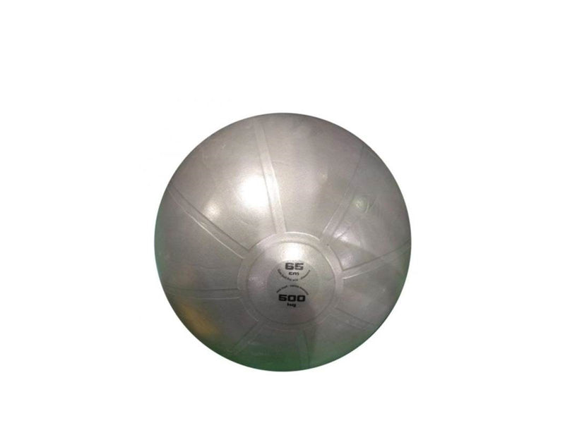 Toorx Gymball PRO ABS 65 cm.