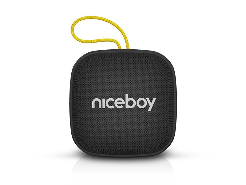 Niceboy RAZE Mini 4