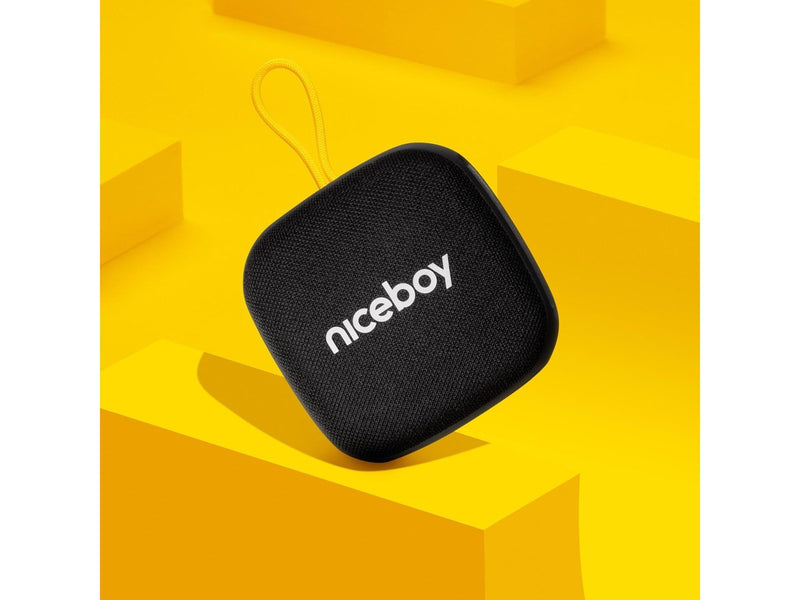 Niceboy RAZE Mini 4