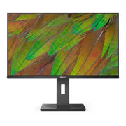 Philips 32B1N3800 Business Monitor 80,01 cm (31,5 Zoll)