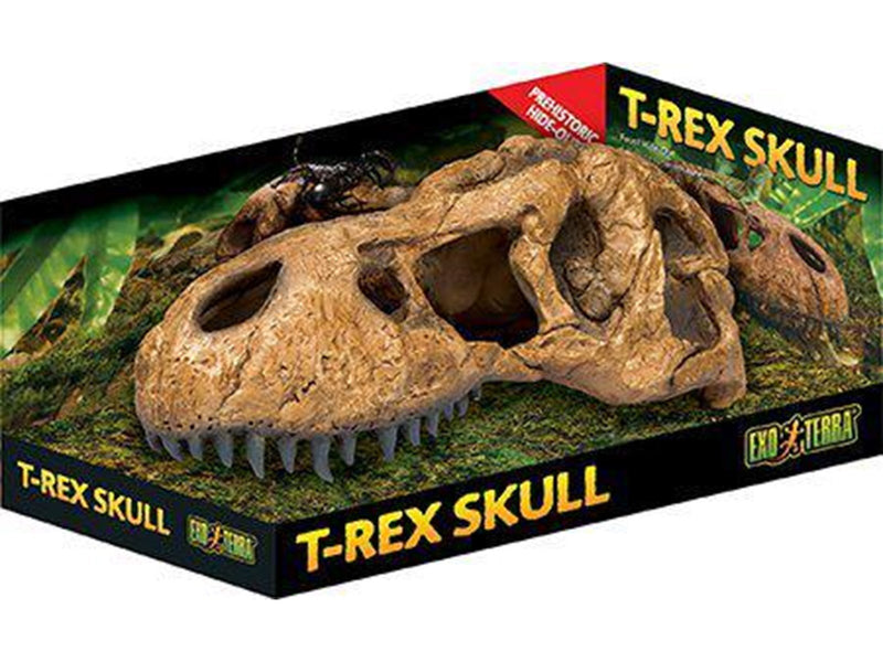 EXO TERRA - Cave T Rex Skull  - (222.2059)