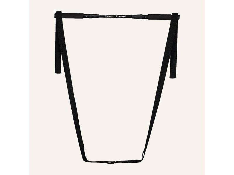 Swedish Posture Mini Gym