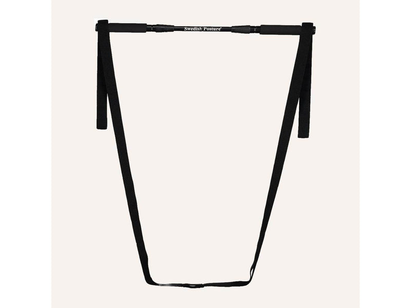 Swedish Posture Mini Gym