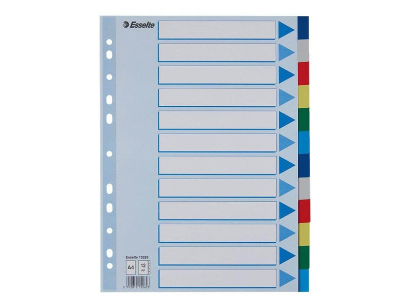 Esselte - divider - 12 parts - for A4 - tabbed - multicolour