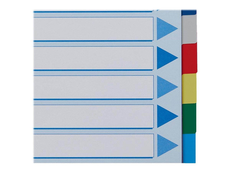 Esselte - divider - 12 parts - for A4 - tabbed - multicolour