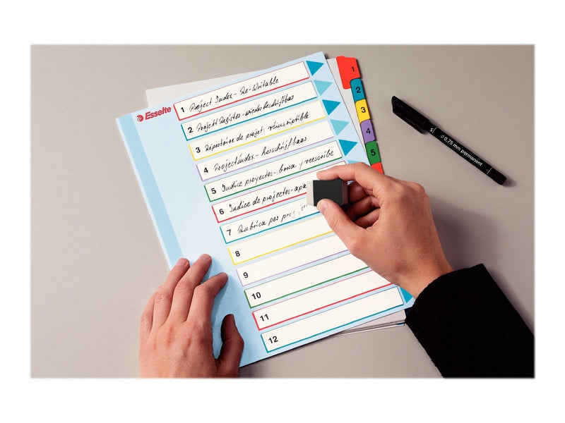 Esselte - divider - 12 parts - for A4 Maxi - tabbed (pack of 10)