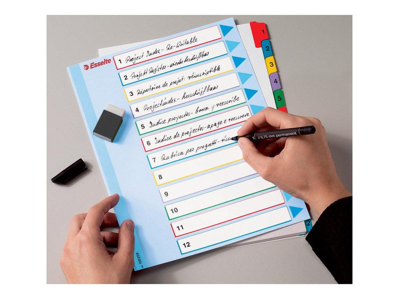 Esselte - divider - 12 parts - for A4 Maxi - tabbed (pack of 10)