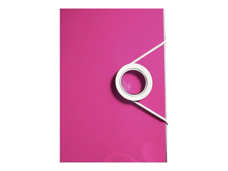 Leitz  Qualitäts-Ordner 180° Active WOW Pink