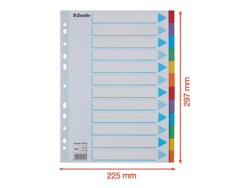 Esselte - divider - 12 parts - for A4 - tabbed
