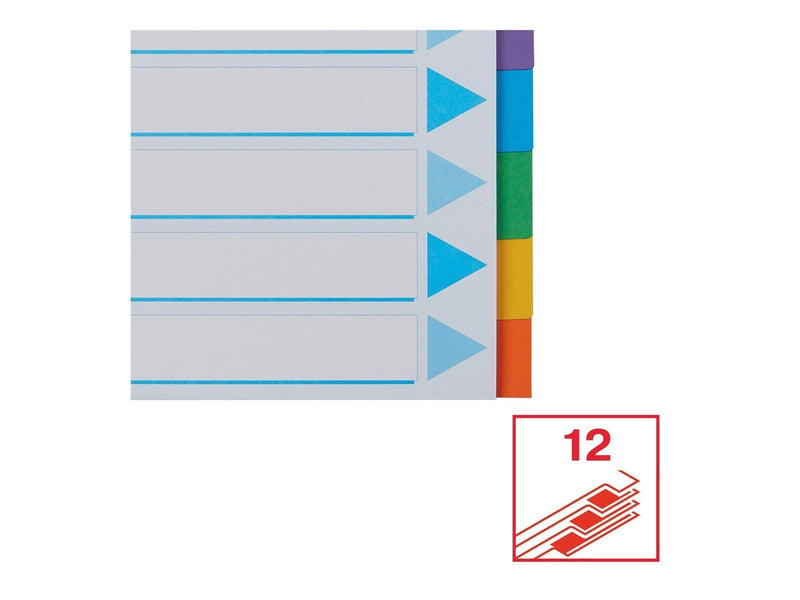 Esselte - divider - 12 parts - for A4 - tabbed