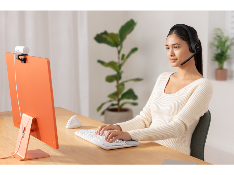 Logitech Zone 300 Wireless Headset - Schwarz