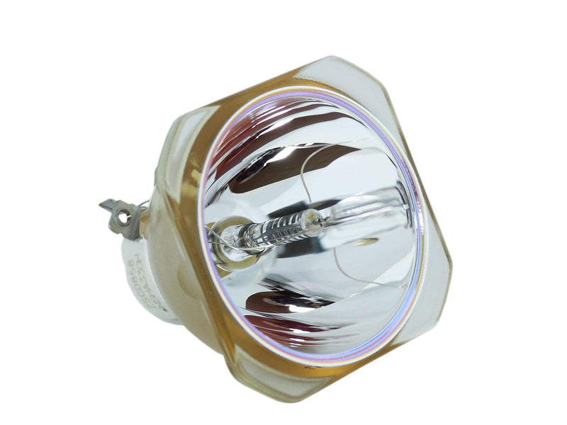 Beamerlampe (nur Leuchtmittel) für RICOH (ersetzt: 308933, LAMP TYPE 7)