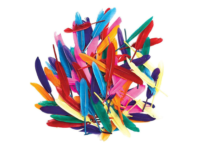 Colorations - Colored Duck Feathers 28.5 grams